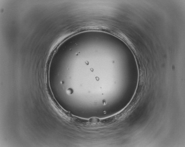 X0000067950795200604201430