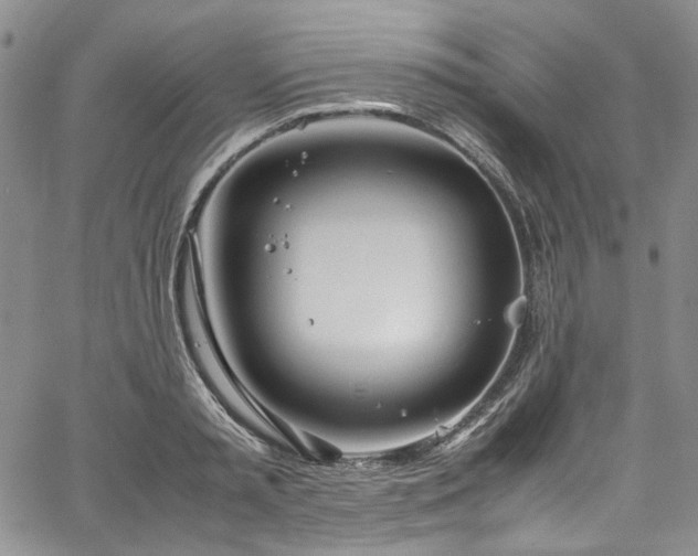 X0000067950797200604201430