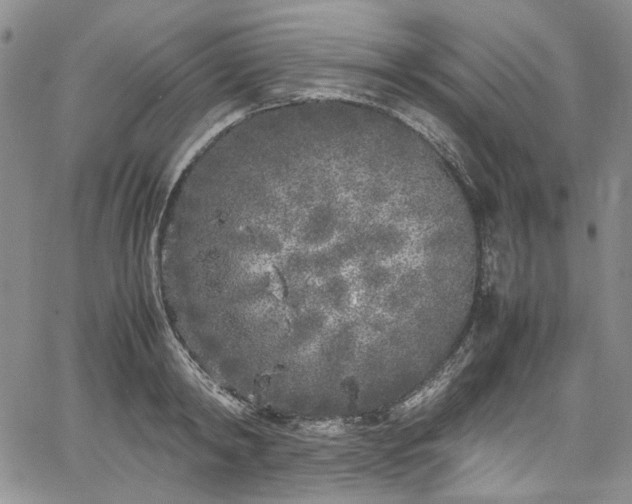 X0000067950798200604201430