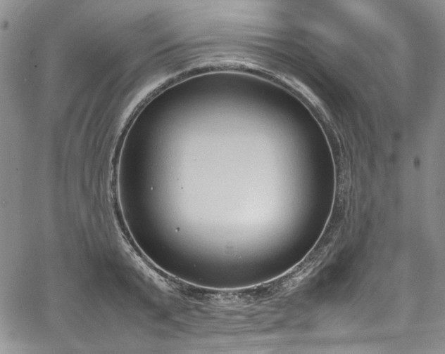 X0000067950799200604201430