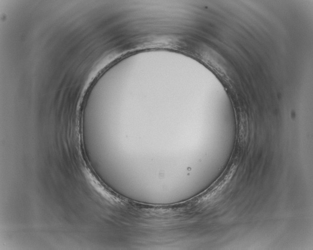 X0000067950800200604201430