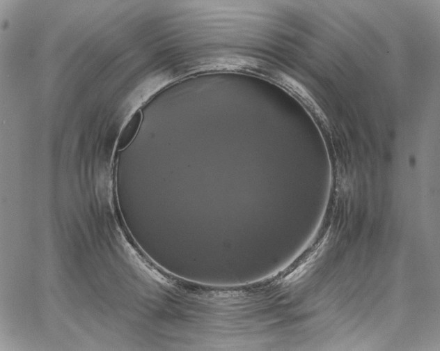 X0000067950802200604201430