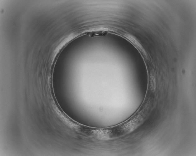 X0000067950805200604201430