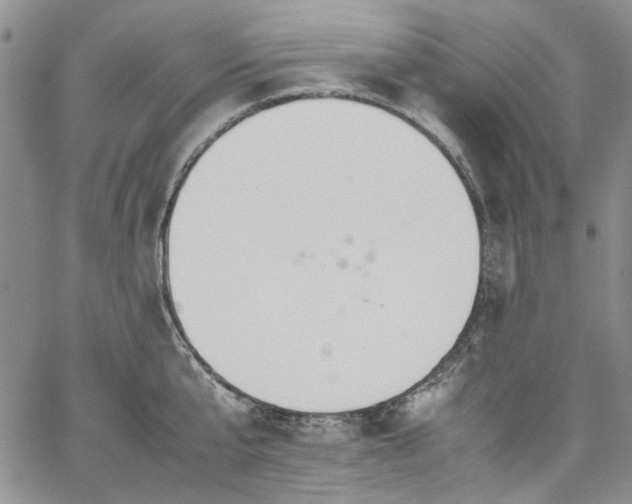 X0000067950807200604201430