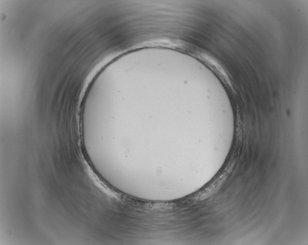 X0000067950808200604201430