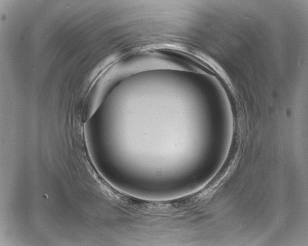 X0000067950809200604201430