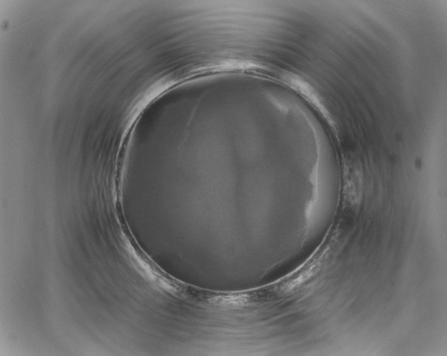 X0000067950810200604201430