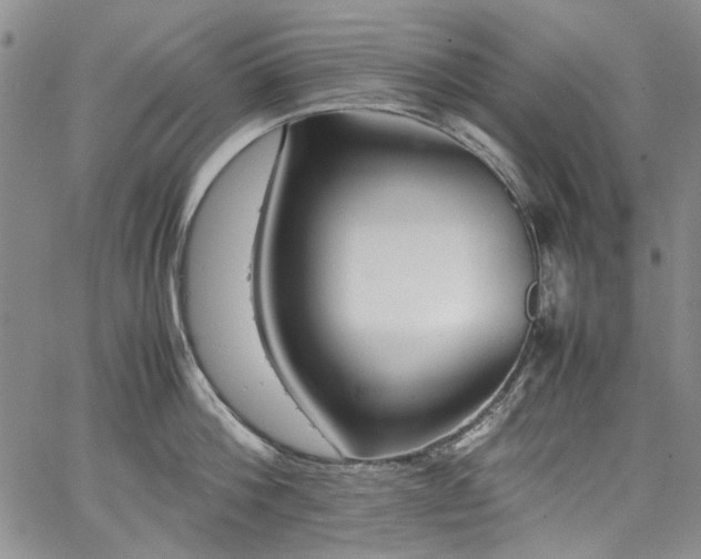 X0000067950812200604201430