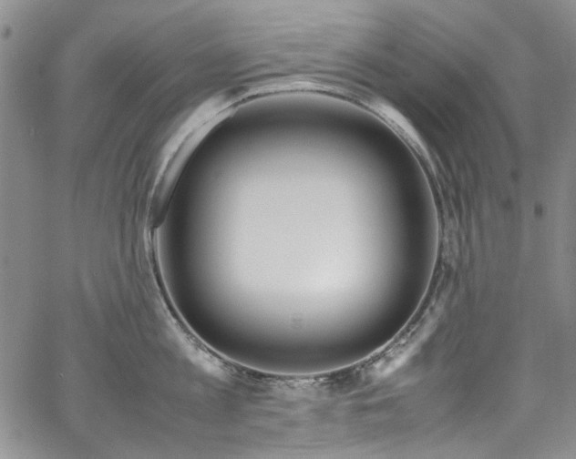 X0000067950813200604201430