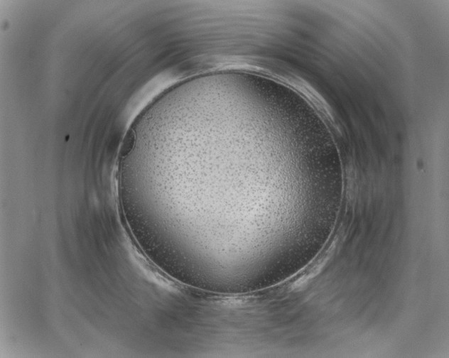 X0000067950814200604201429