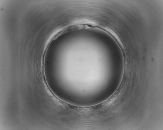 X0000067950815200604201429