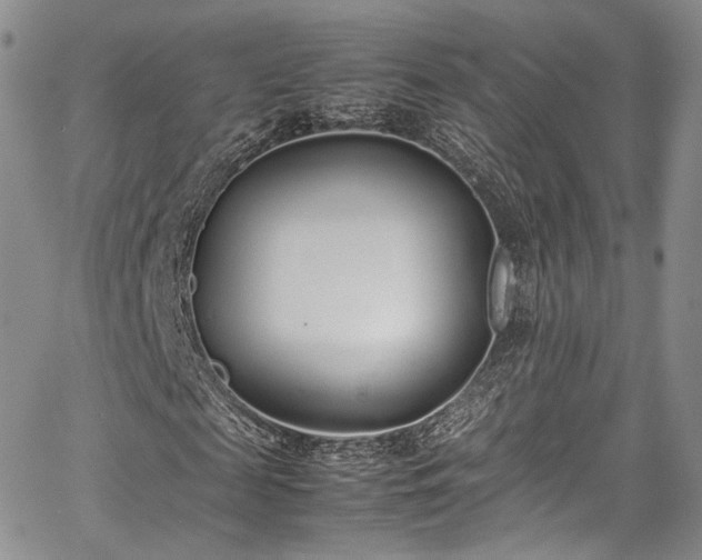 X0000067950817200604201429