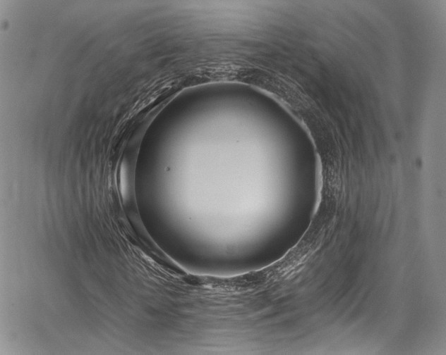 X0000067950818200604201429