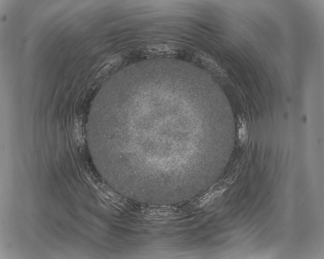 X0000067950819200604201429