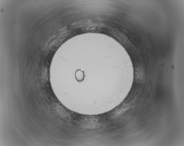 X0000067950820200604201429