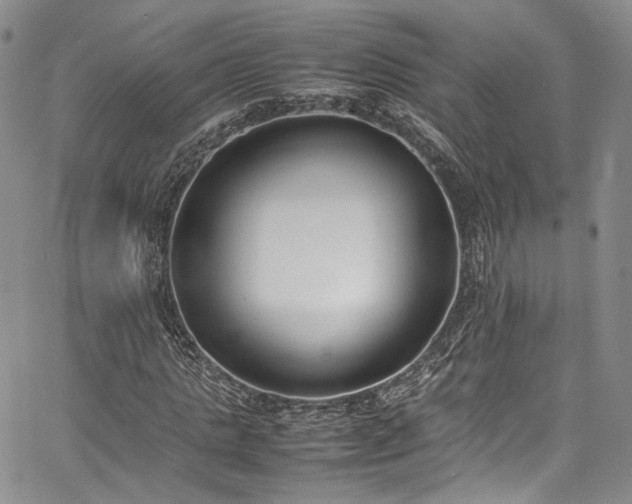 X0000067950821200604201429