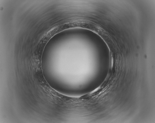 X0000067950822200604201429