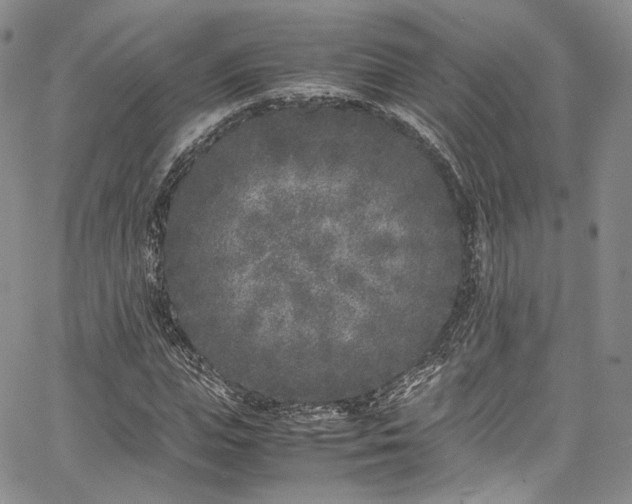 X0000067950823200604201429