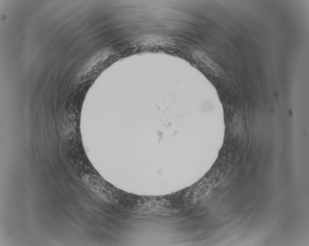 X0000067950824200604201429