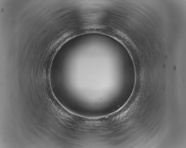 X0000067950825200604201429