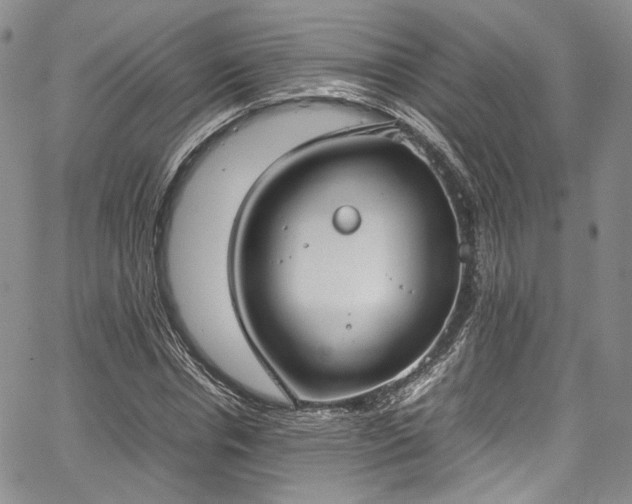 X0000067950826200604201429