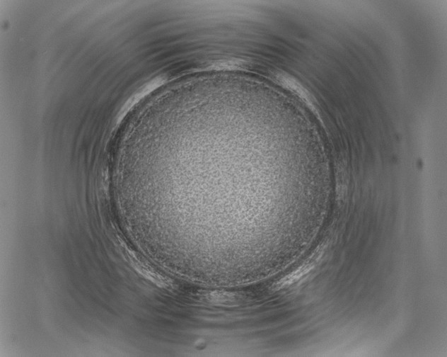 X0000067950827200604201429