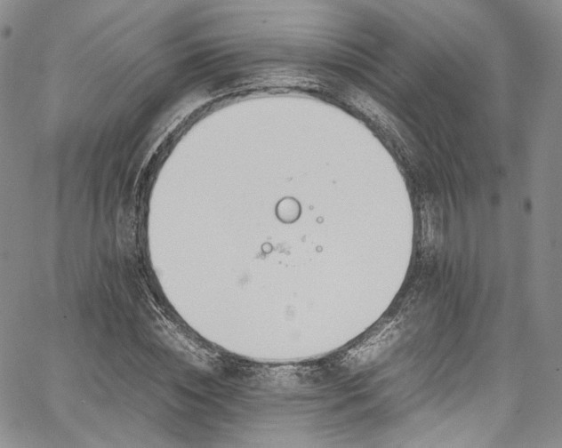 X0000067950828200604201429