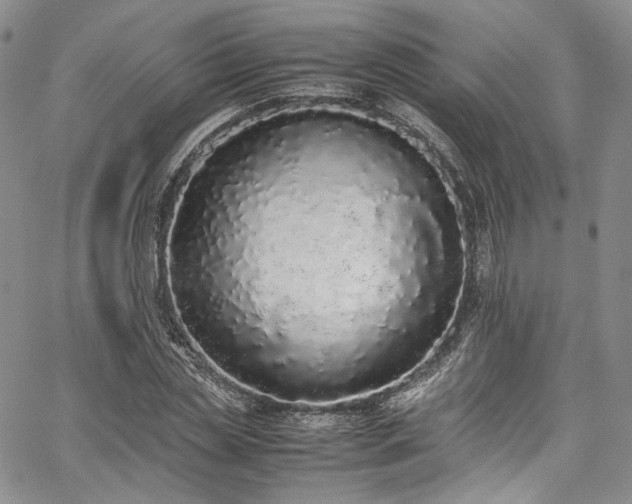 X0000067950829200604201429