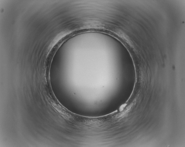 X0000067950830200604201429