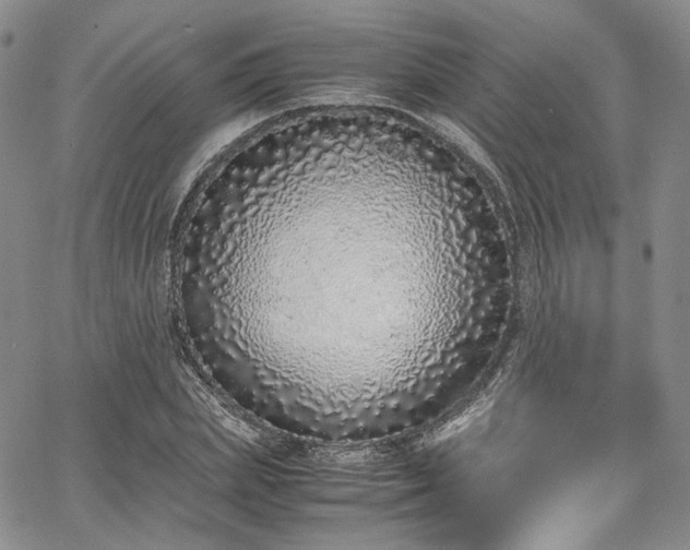 X0000067950831200604201429