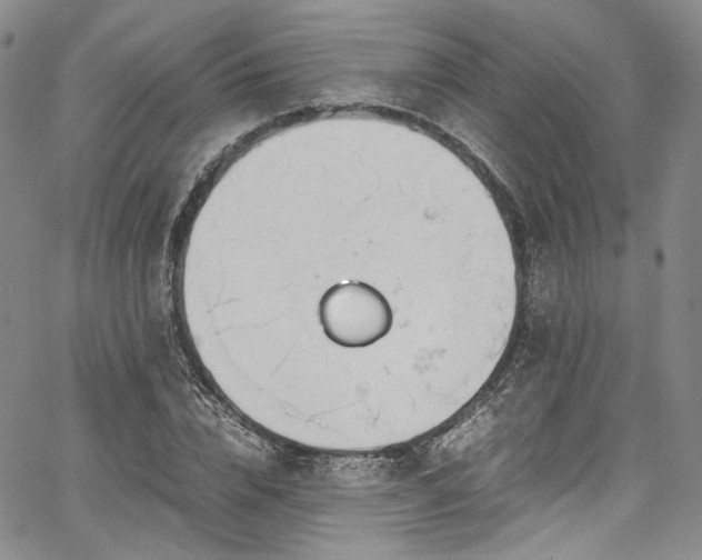 X0000067950832200604201429