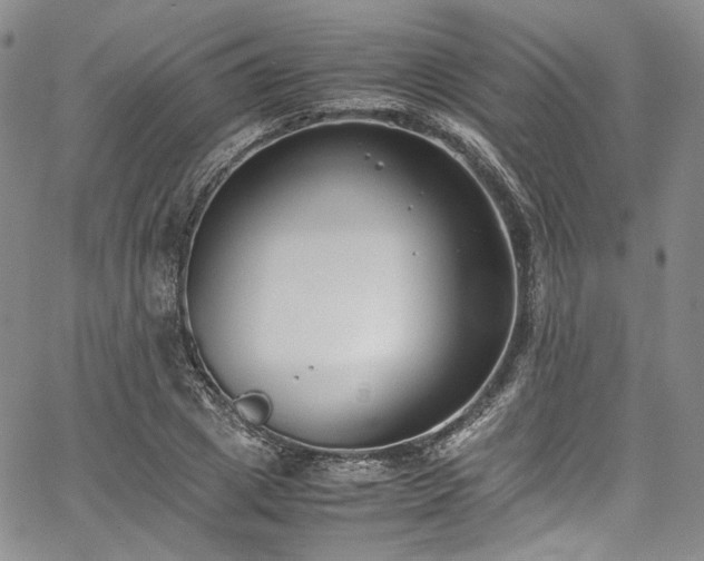 X0000067950833200604201429