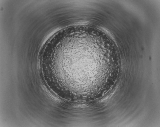 X0000067950835200604201429