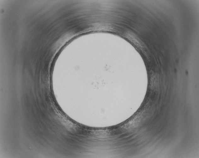 X0000067950836200604201429