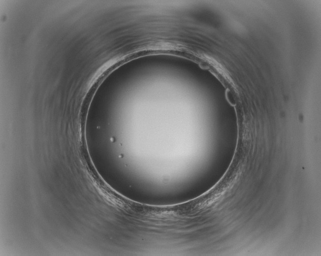 X0000067950837200604201429