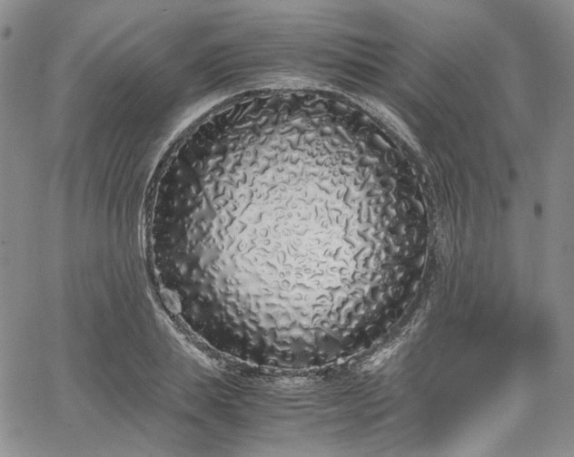 X0000067950839200604201429