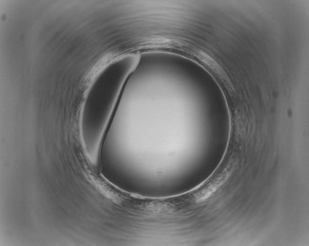 X0000067950842200604201429