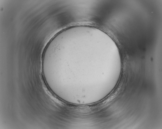 X0000067950844200604201429