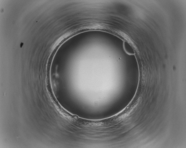 X0000067950845200604201429