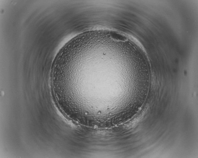 X0000067950847200604201429