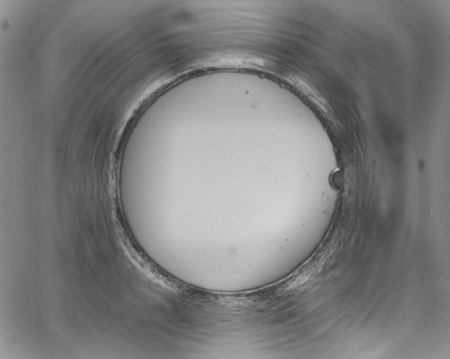 X0000067950848200604201429