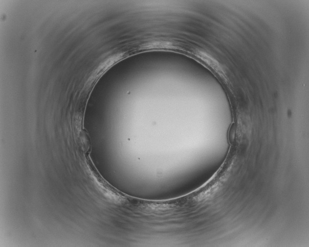 X0000067950849200604201429