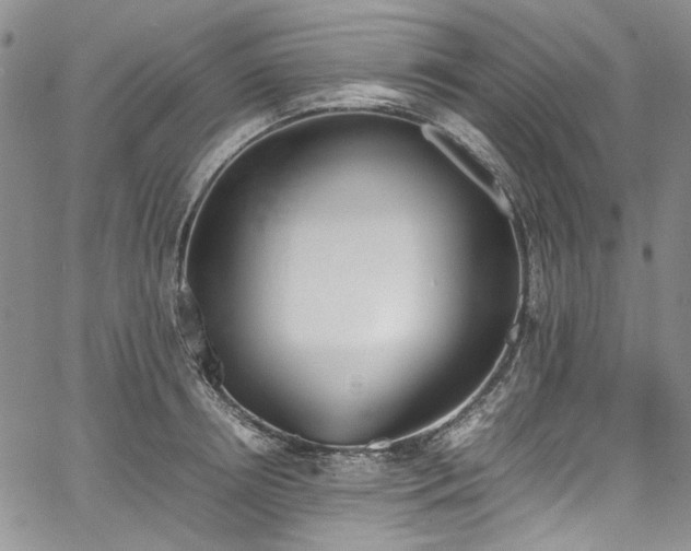 X0000067950850200604201429