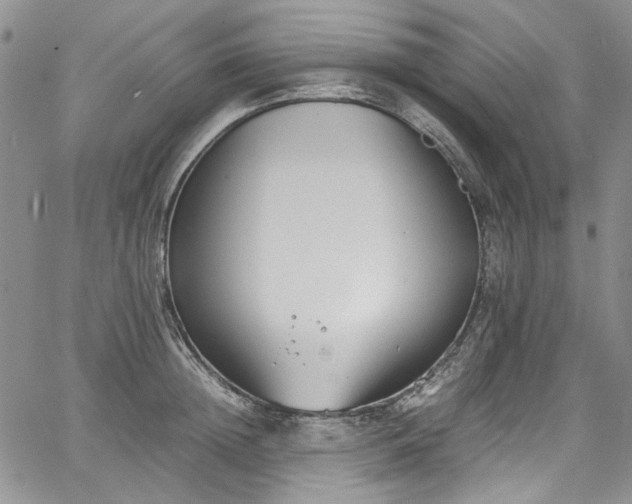 X0000067950852200604201429