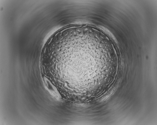 X0000067950855200604201429