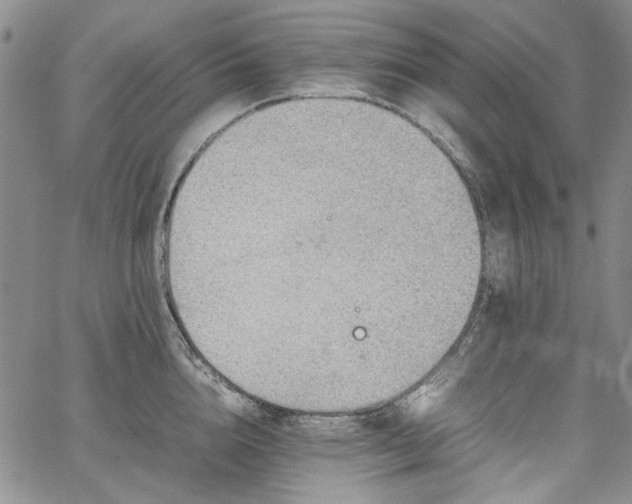 X0000067950856200604201429