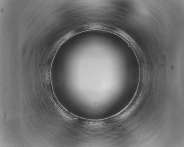 X0000067950857200604201429