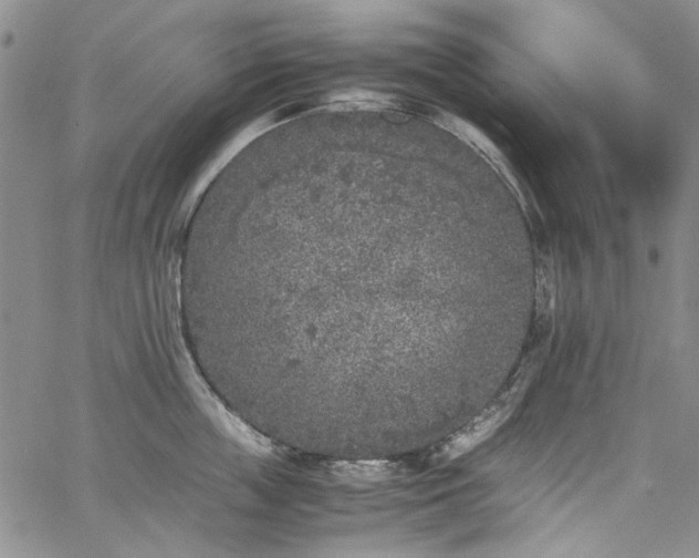 X0000067950859200604201429