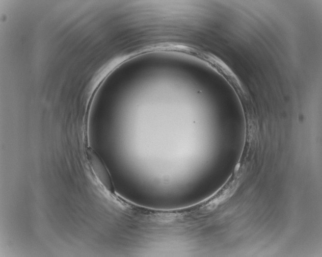 X0000067950860200604201429