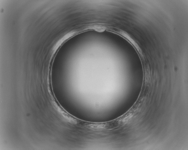 X0000067950861200604201429